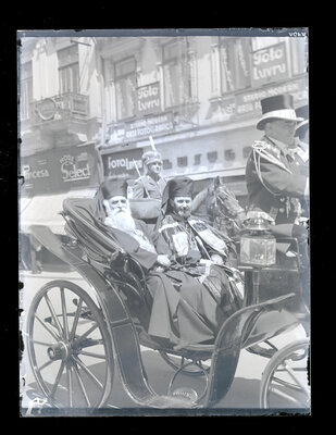 Fotografie necatalogată, cota BU-FD-01073-9-01229-0011