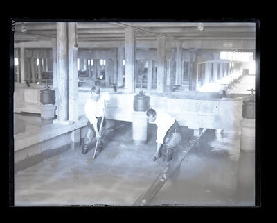 Fotografie necatalogată, cota BU-FD-01073-9-01231-0005
