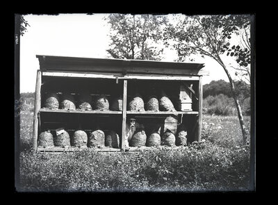 Fotografie necatalogată, cota BU-FD-01073-9-01234-0004