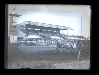 Fotografie necatalogată, cota BU-FD-01073-9-01235-0001