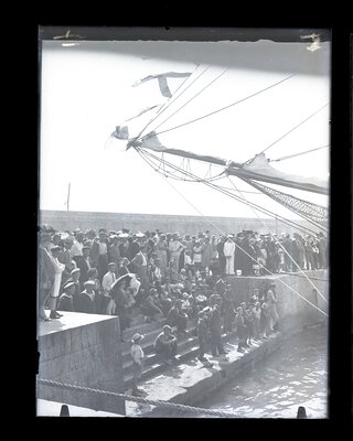 Fotografie necatalogată, cota BU-FD-01073-9-01236-0008
