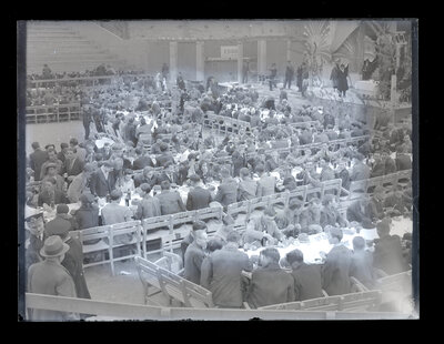 Fotografie necatalogată, cota BU-FD-01073-9-01236-0009