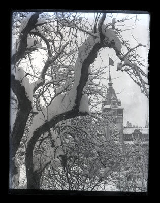 Fotografie necatalogată, cota BU-FD-01073-9-01237-0007