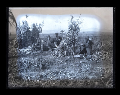Fotografie necatalogată, cota BU-FD-01073-9-01242-0009
