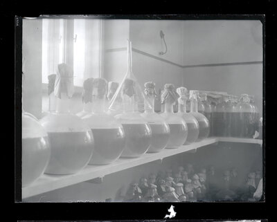 Fotografie necatalogată, cota BU-FD-01073-9-01247-0003