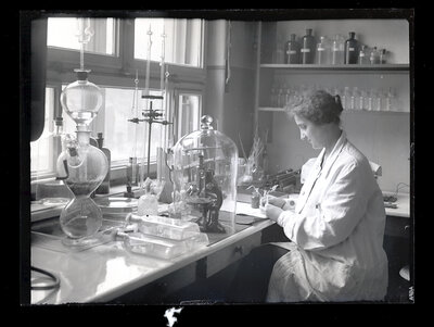 Fotografie necatalogată, cota BU-FD-01073-9-01247-0005