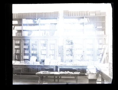 Fotografie necatalogată, cota BU-FD-01073-9-01247-0008
