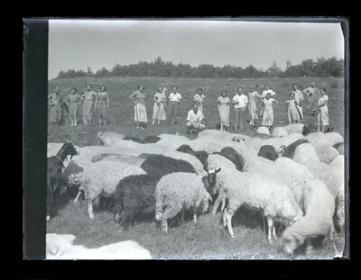 Fotografie necatalogată, cota BU-FD-01073-9-01248-0005