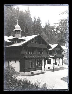 Fotografie necatalogată, cota BU-FD-01073-9-01250-0007