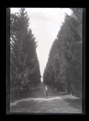 Fotografie necatalogată, cota BU-FD-01073-9-01250-0008