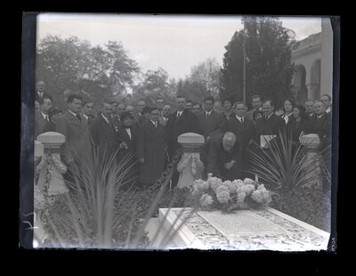 Fotografie necatalogată, cota BU-FD-01073-9-01252-0009