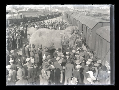 Fotografie necatalogată, cota BU-FD-01073-9-01253-0006