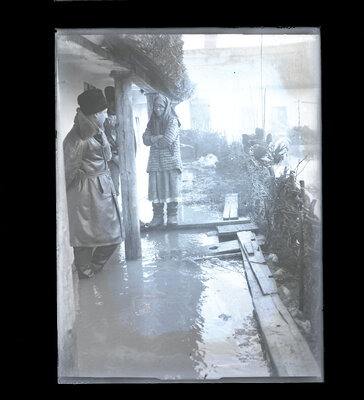 Fotografie necatalogată, cota BU-FD-01073-9-01253-0012