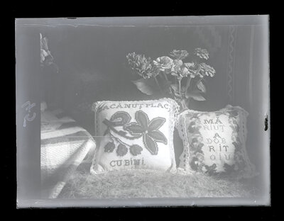 Fotografie necatalogată, cota BU-FD-01073-9-01253-0015