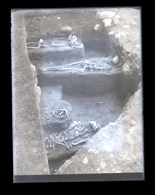 Fotografie necatalogată, cota BU-FD-01073-9-01257-0006