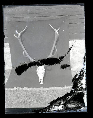 Fotografie necatalogată, cota BU-FD-01073-9-01258-0012
