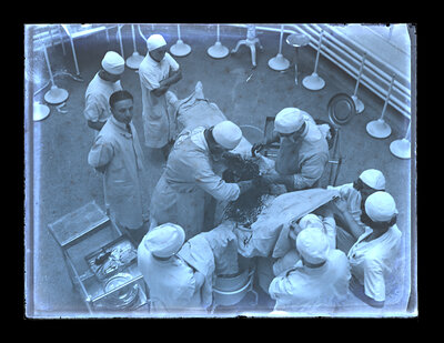Fotografie necatalogată, cota BU-FD-01073-9-01259-0010