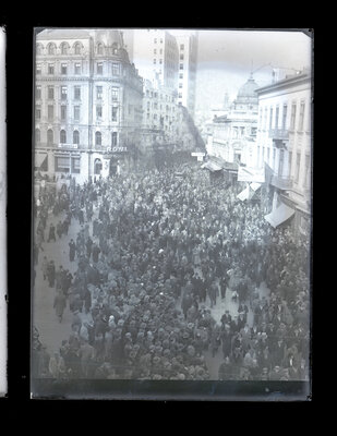 Mulțime pe Calea Victoriei