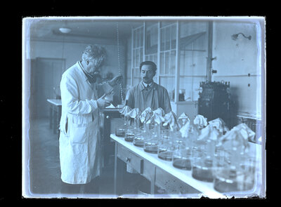 Fotografie necatalogată, cota BU-FD-01073-9-01263-0003