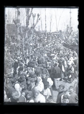 Fotografie necatalogată, cota BU-FD-01073-9-01268-0001