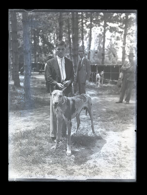 Fotografie necatalogată, cota BU-FD-01073-9-01269-0002