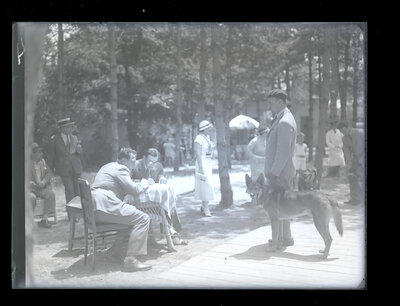 Fotografie necatalogată, cota BU-FD-01073-9-01269-0005