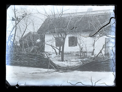 Fotografie necatalogată, cota BU-FD-01073-9-01276-0003