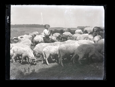 Fotografie necatalogată, cota BU-FD-01073-9-01277-0001