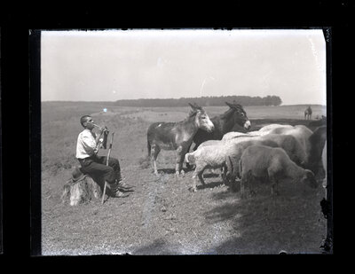 Fotografie necatalogată, cota BU-FD-01073-9-01277-0004