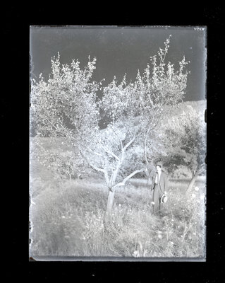 Fotografie necatalogată, cota BU-FD-01073-9-01277-0010