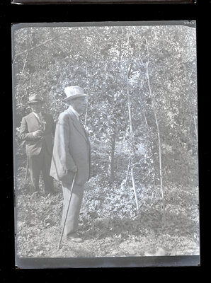 Fotografie necatalogată, cota BU-FD-01073-9-01278-0012