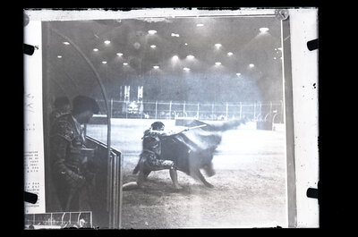 Fotografie necatalogată, cota BU-FD-01073-9-01281-0012