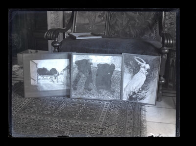 Fotografie necatalogată, cota BU-FD-01073-9-01283-0008