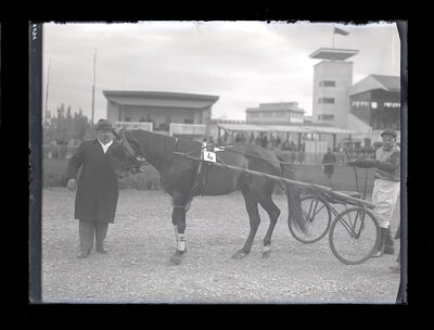 Fotografie necatalogată, cota BU-FD-01073-9-01284-0005