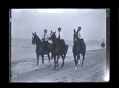 Fotografie necatalogată, cota BU-FD-01073-9-01285-0005