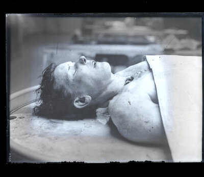 Fotografie necatalogată, cota BU-FD-01073-9-01290-0004
