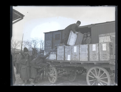 Fotografie necatalogată, cota BU-FD-01073-9-01290-0005