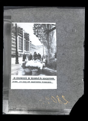 Fotografie necatalogată, cota BU-FD-01073-9-01292-0003