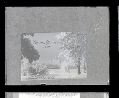 Fotografie necatalogată, cota BU-FD-01073-9-01292-0007