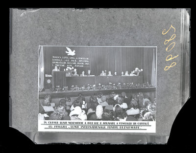 Fotografie necatalogată, cota BU-FD-01073-9-01292-0010