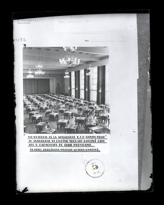 Fotografie necatalogată, cota BU-FD-01073-9-01292-0011