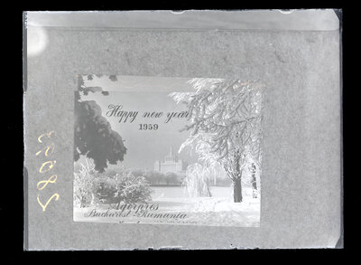 Fotografie necatalogată, cota BU-FD-01073-9-01292-0020