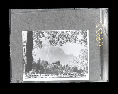 Fotografie necatalogată, cota BU-FD-01073-9-01292-0022