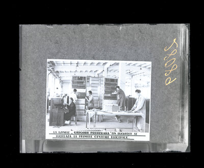 Fotografie necatalogată, cota BU-FD-01073-9-01292-0024