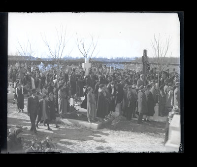 Fotografie necatalogată, cota BU-FD-01073-9-01295-0003