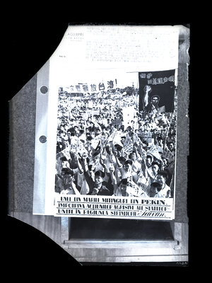 Fotografie necatalogată, cota BU-FD-01073-9-01296-0004