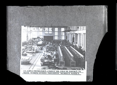 Fotografie necatalogată, cota BU-FD-01073-9-01296-0006
