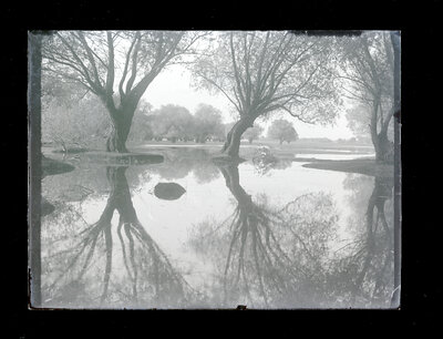 Fotografie necatalogată, cota BU-FD-01073-9-01298-0011