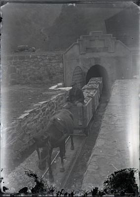 Mina Concordia