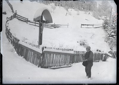 Troiță
